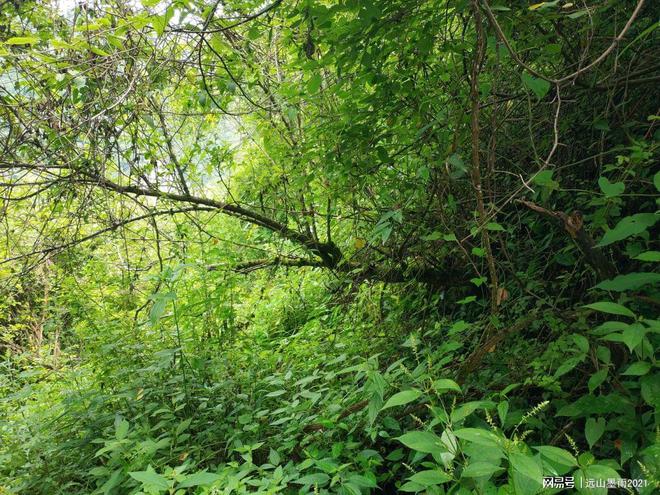 必一运动官网一日游爬山需要带什么？