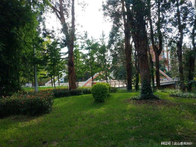 必一运动官网一日游爬山需要带什么?(图3) 必一运动官网一日游爬山需要带什么?(图3)