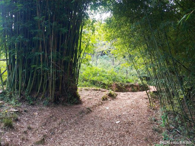 必一运动官网一日游爬山需要带什么?(图5) 必一运动官网一日游爬山需要带什么?(图5)