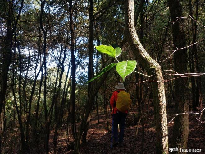 必一运动官网一日游爬山需要带什么?(图6) 必一运动官网一日游爬山需要带什么?(图6)