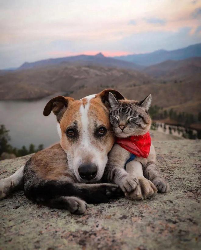 必一体育官网2024年登山新守则！新驴、老驴皆学习……(图18)