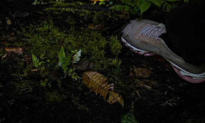 必一运动官网以流动更新的状态让生命自然呈现(图11) 必一运动官网以流动更新的状态让生命自然呈现(图11)