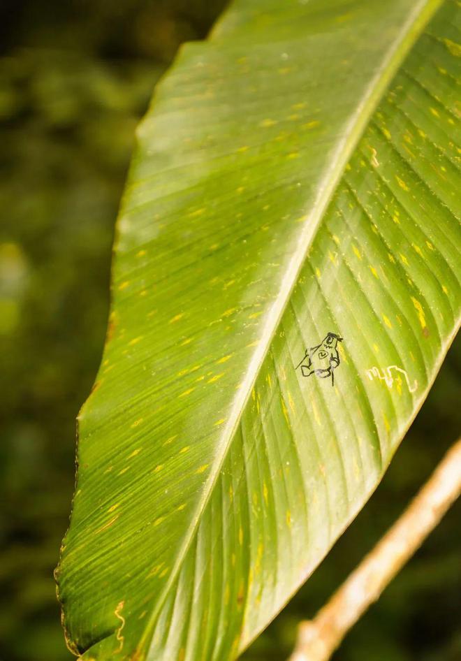 必一运动官网以流动更新的状态让生命自然呈现(图20) 必一运动官网以流动更新的状态让生命自然呈现(图20)