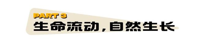必一运动官网以流动更新的状态让生命自然呈现(图21) 必一运动官网以流动更新的状态让生命自然呈现(图21)