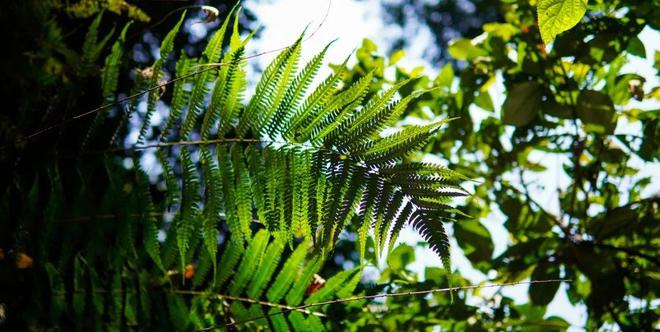 必一运动官网以流动更新的状态让生命自然呈现(图22) 必一运动官网以流动更新的状态让生命自然呈现(图22)