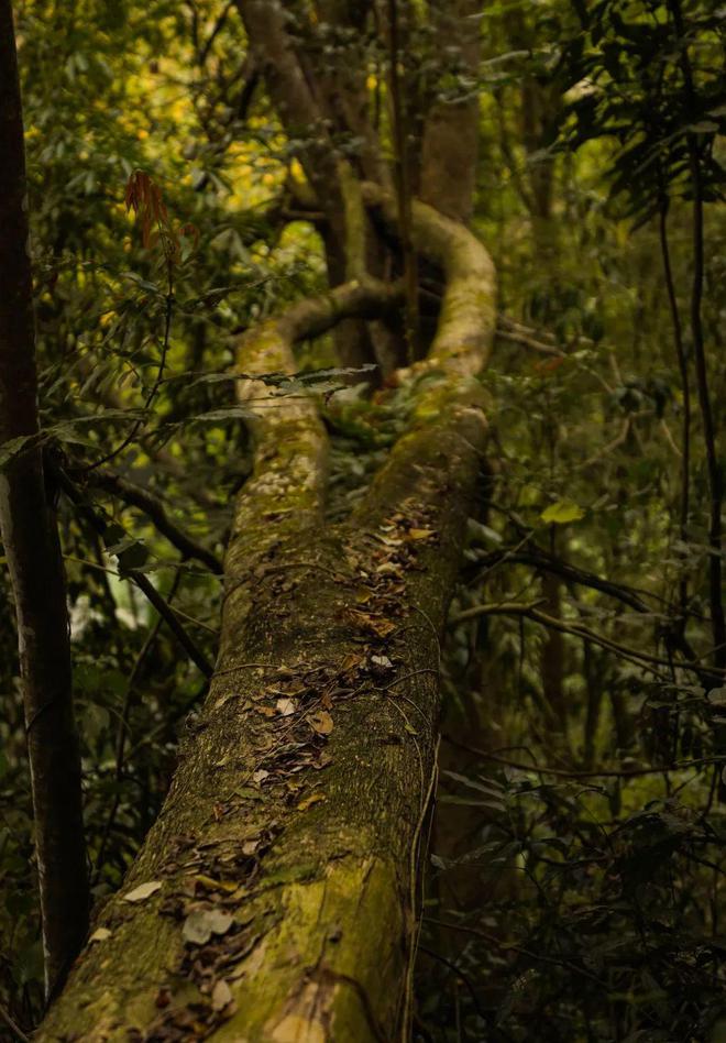 必一运动官网以流动更新的状态让生命自然呈现(图23) 必一运动官网以流动更新的状态让生命自然呈现(图23)
