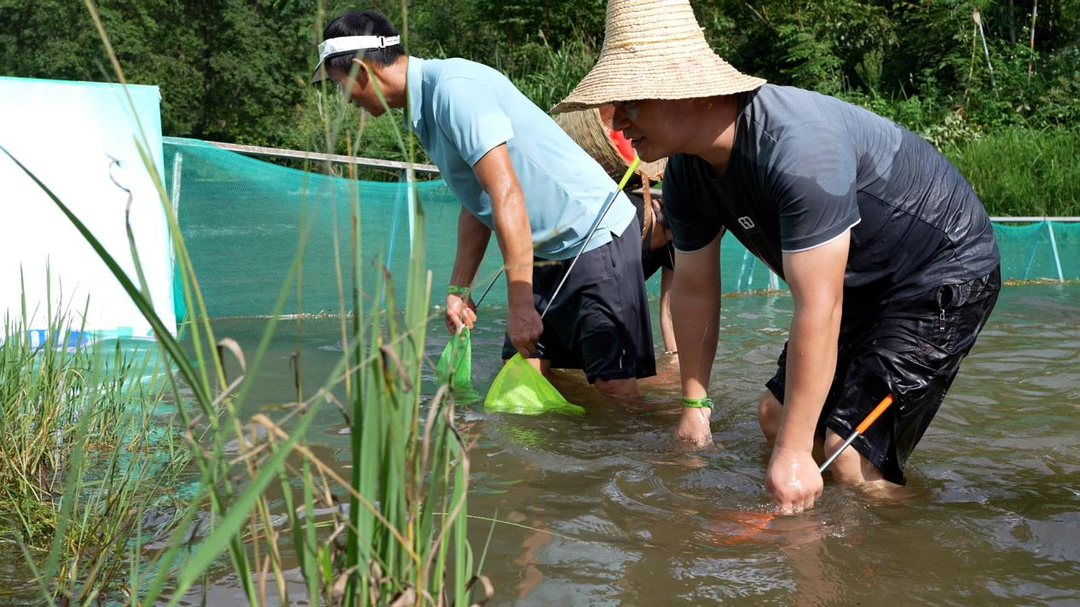 必一运动官网2024年全国露营大会在江永举行(图3)