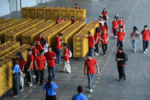 够野你就来——2024中国南酸枣之乡旅游文化音乐节齐云山登山节圆满收官必一体育官网(图9) 够野你就来——2024中国南酸枣之乡旅游文化音乐节齐云山登山节圆满收官必一体育官网(图9)