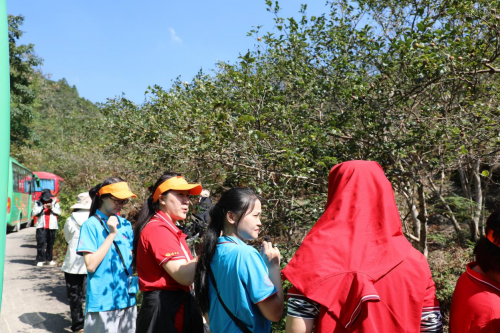 够野你就来——2024中国南酸枣之乡旅游文化音乐节齐云山登山节圆满收官必一体育官网(图12) 够野你就来——2024中国南酸枣之乡旅游文化音乐节齐云山登山节圆满收官必一体育官网(图12)