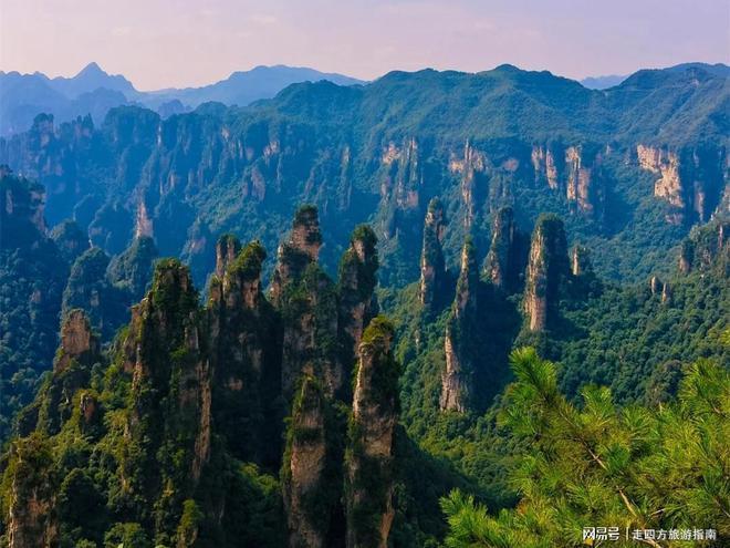 去张家界五天怎么玩攻略｜暑假亲子程天门山+凤凰古城路线(图7)