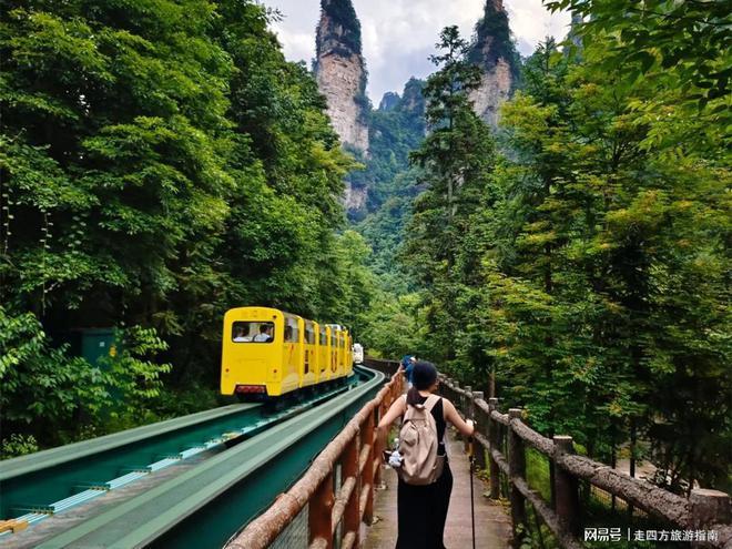去张家界五天怎么玩攻略｜暑假亲子程天门山+凤凰古城路线(图3)