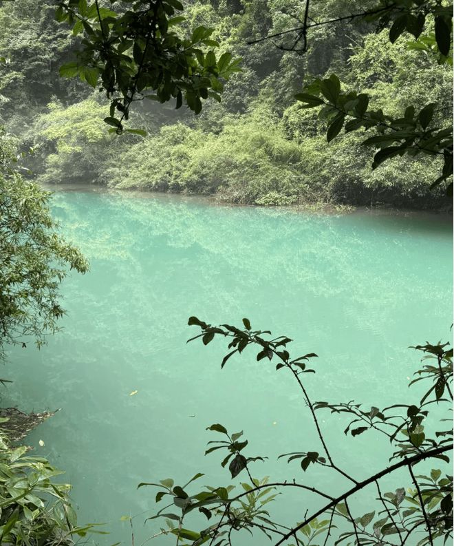 去张家界旅游五天定制游需要多少钱?张家界五日游旅程攻略;(图3) 去张家界旅游五天定制游需要多少钱?张家界五日游旅程攻略;(图3)