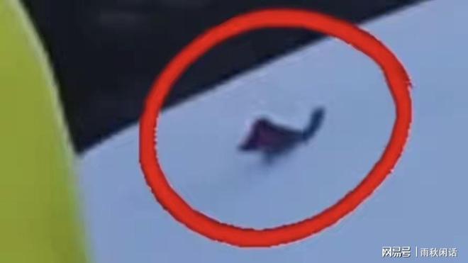 驴友雪山上滑倒坠崖在天地宏大叙事中的生命省思(图2) 驴友雪山上滑倒坠崖在天地宏大叙事中的生命省思(图2)