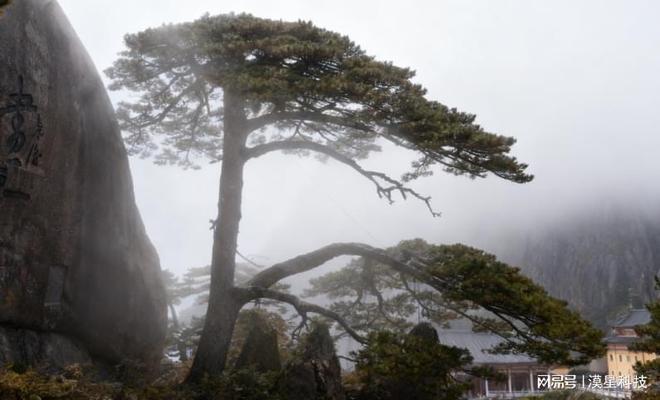 最全黄山两天2天旅游保险攻略!黄山安心游投保+装备险条款(图4) 最全黄山两天2天旅游保险攻略!黄山安心游投保+装备险条款(图4)
