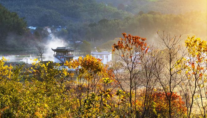 旅行社推荐：黄山纯玩4天3晚游单项定制机票+酒店+无套路服务(图4)